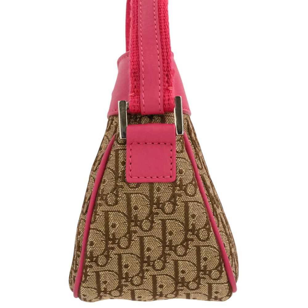 Christian Dior Trotter Street Chic Handbag