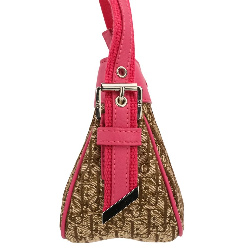 Christian Dior Trotter Street Chic Handbag