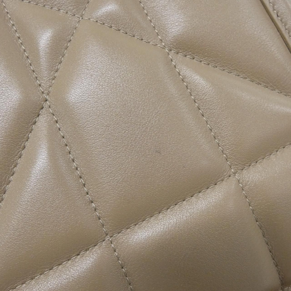 Christian Dior Dior Essential Calf Handbag