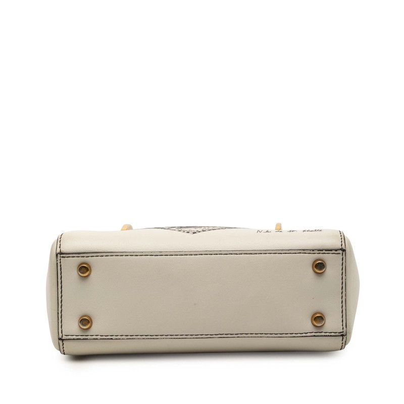 Dior Lady Dior Mini Niki de Saint Phalle Leather 2way Bag