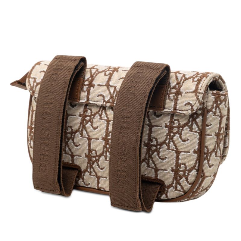 Dior Saddle Canvas Leather Arm Pouch Limited