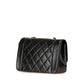 Chanel Diana22 Lambskin Shoulder Bag