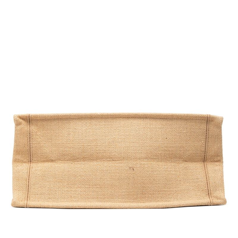 Dior Book Tote Canvas Tote Bag