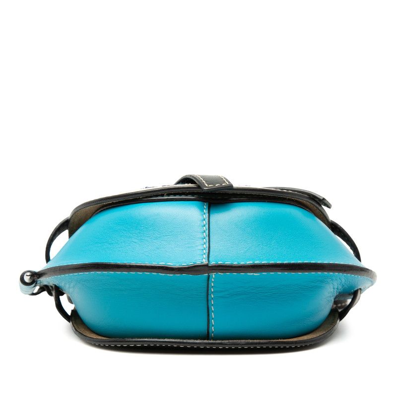 Loewe Gate Mini Floral Leather Shoulder Bag