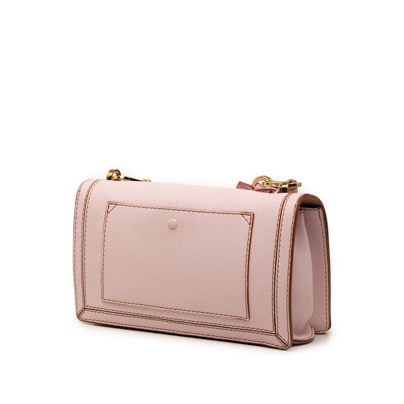 Loewe Barcelona Leather Chain Shoulder Bag