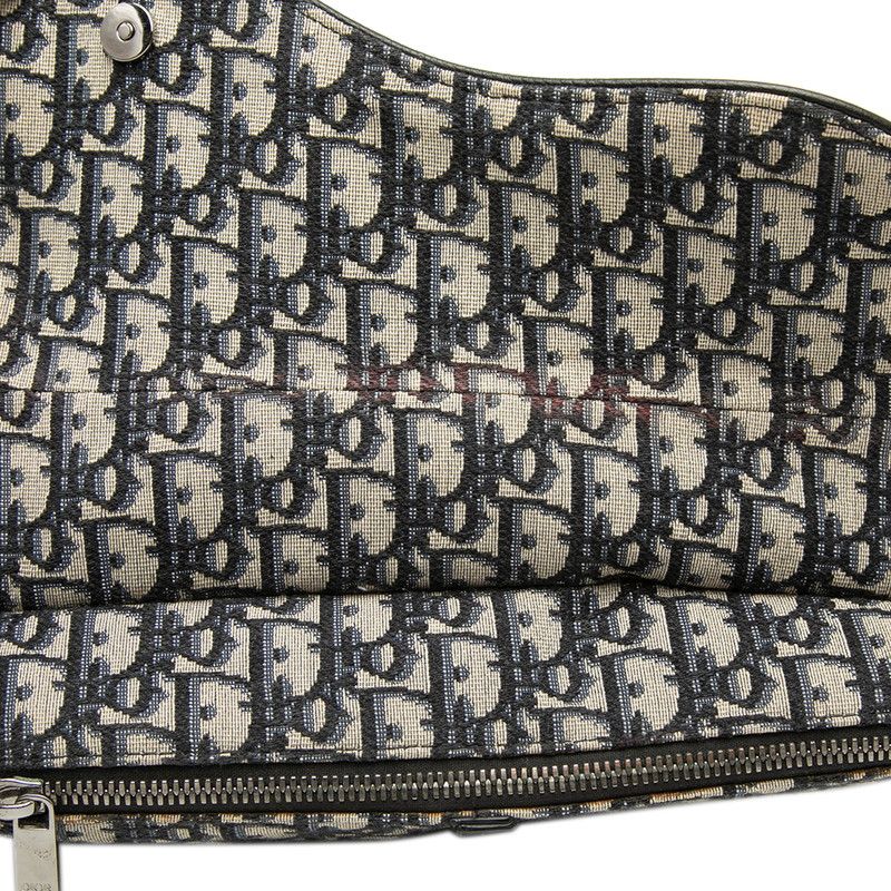 Dior Oblique Saddle Canvas 2way bag