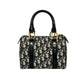 Christian Dior Trotter Canvas Leather Handbag
