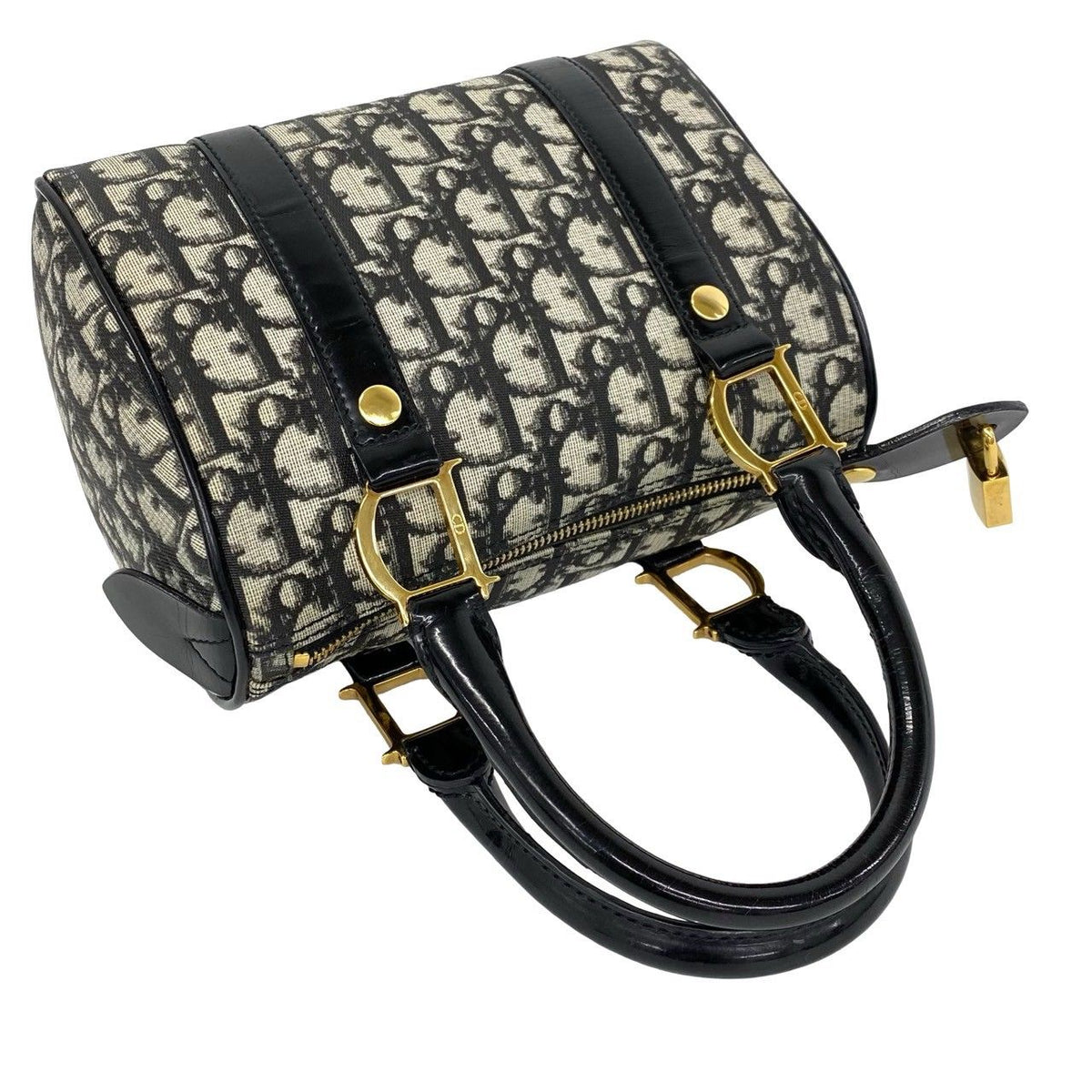 Christian Dior Trotter Canvas Leather Handbag