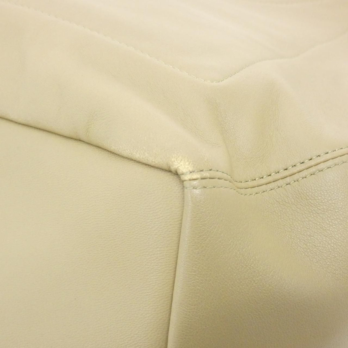 Loewe Squeeze Medium Melonappa Lambskin Bag