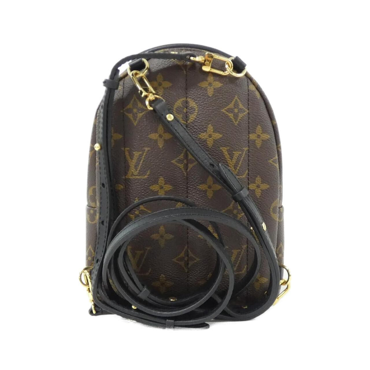 Louis Vuitton Palm Springs Mini Monogram Backpack