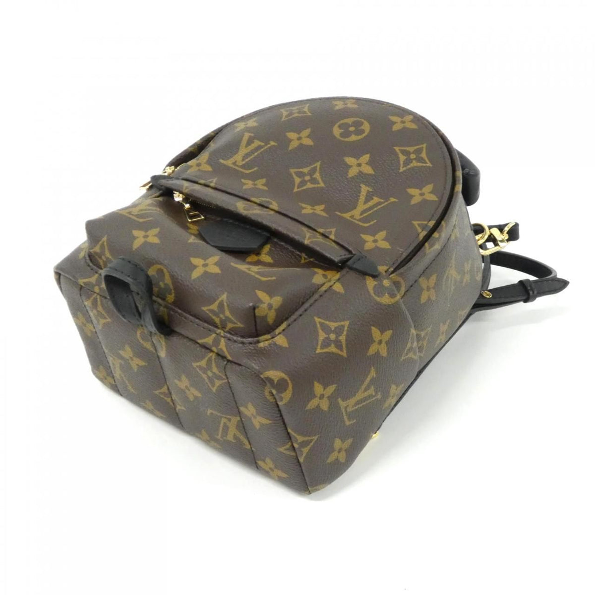 Louis Vuitton Palm Springs Mini Monogram Backpack