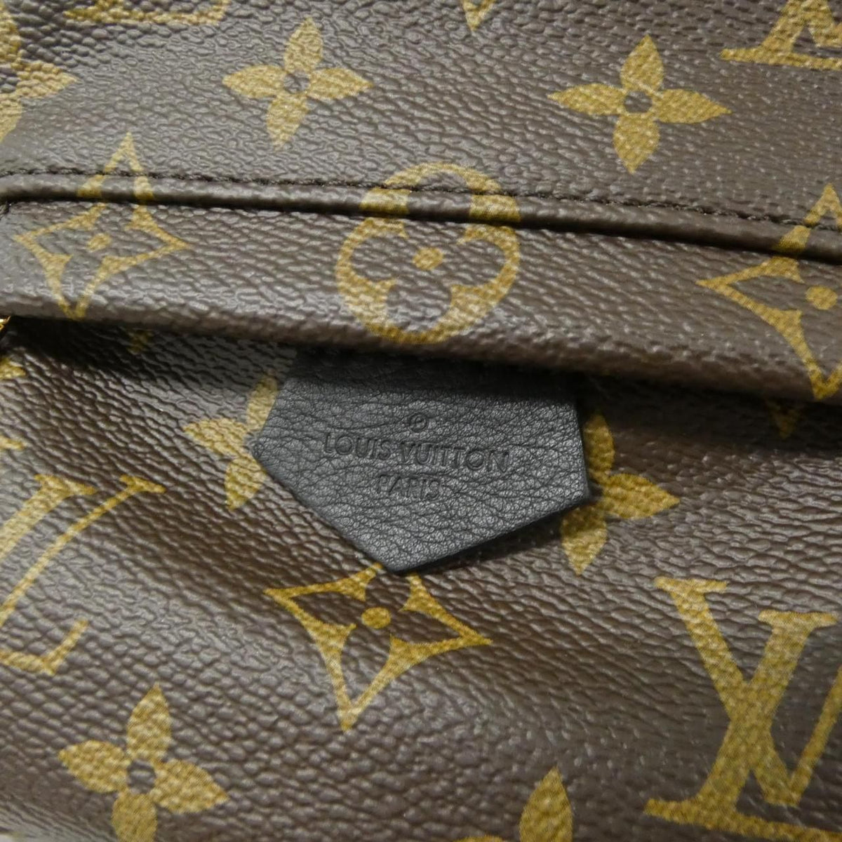 Louis Vuitton Palm Springs Mini Monogram Backpack