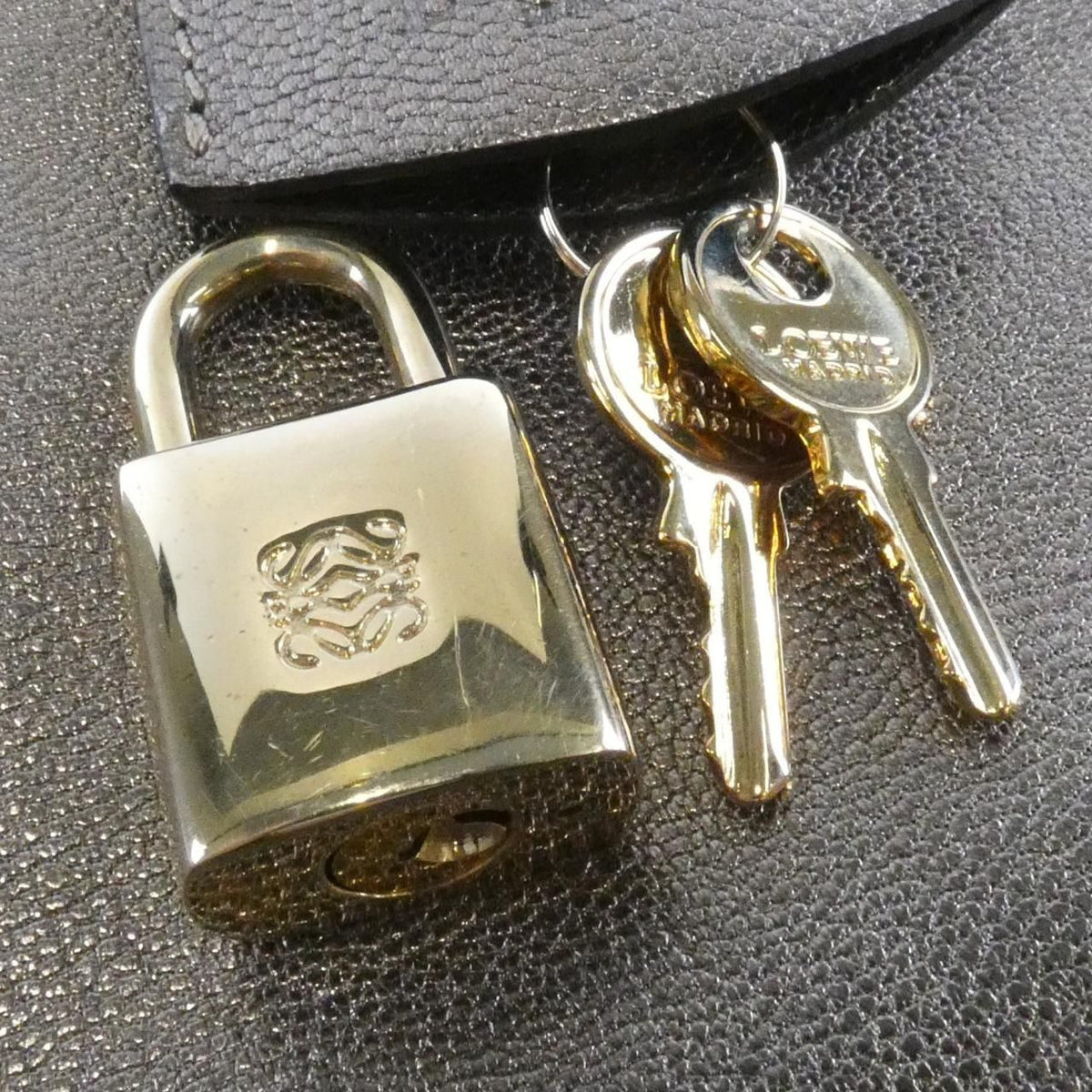 Loewe Amazona Goat Handbag