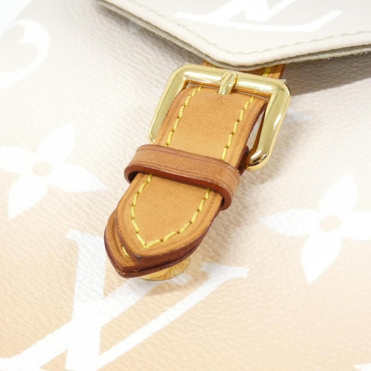 Louis Vuitton By The Pool Tiny Backpack Coated Canvas Backpack Limited