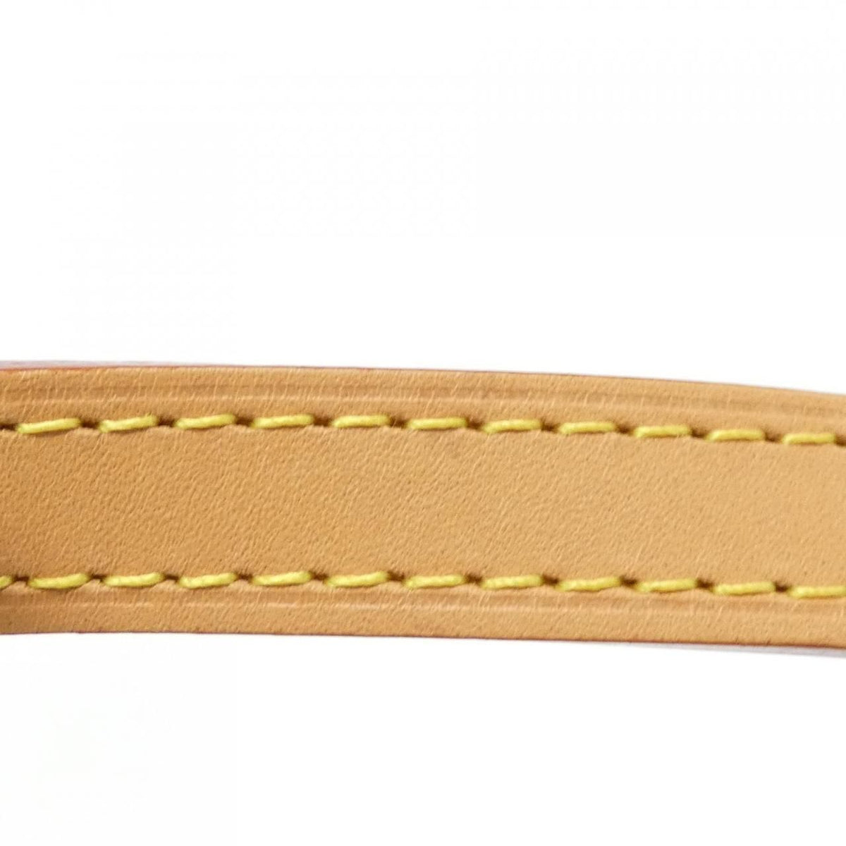 Louis Vuitton Petit Sac Plat Monogram Bag