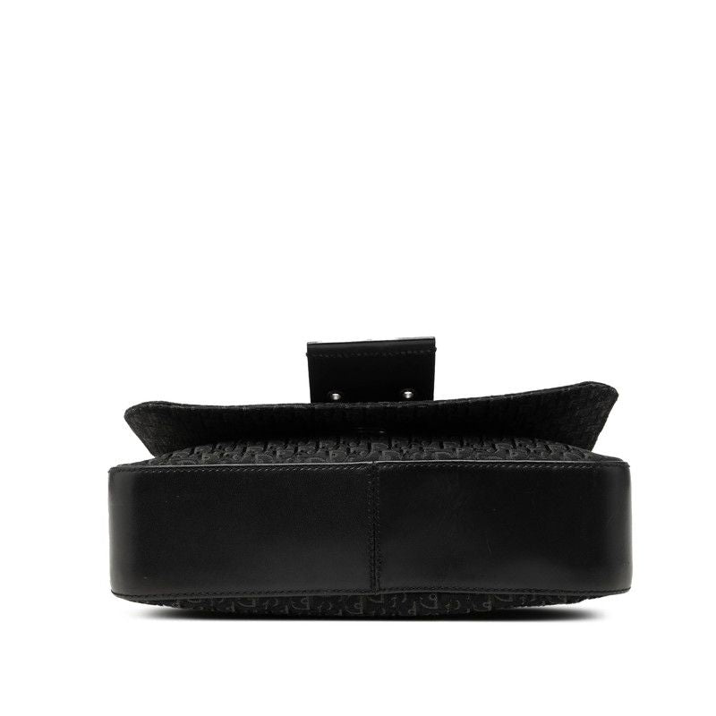 Dior Street Chic Trotter Canvas Leather Shoulder Bag