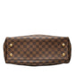 Louis Vuitton Trevi PM Damier 2way bag