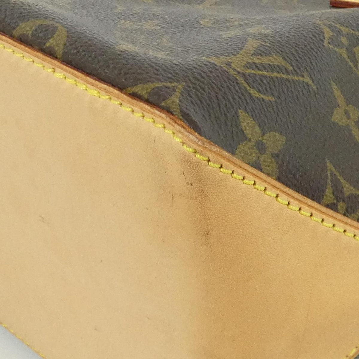 Louis Vuitton Monogram Tote Bag