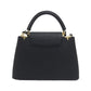 Louis Vuitton Capucines Calfskin Bag