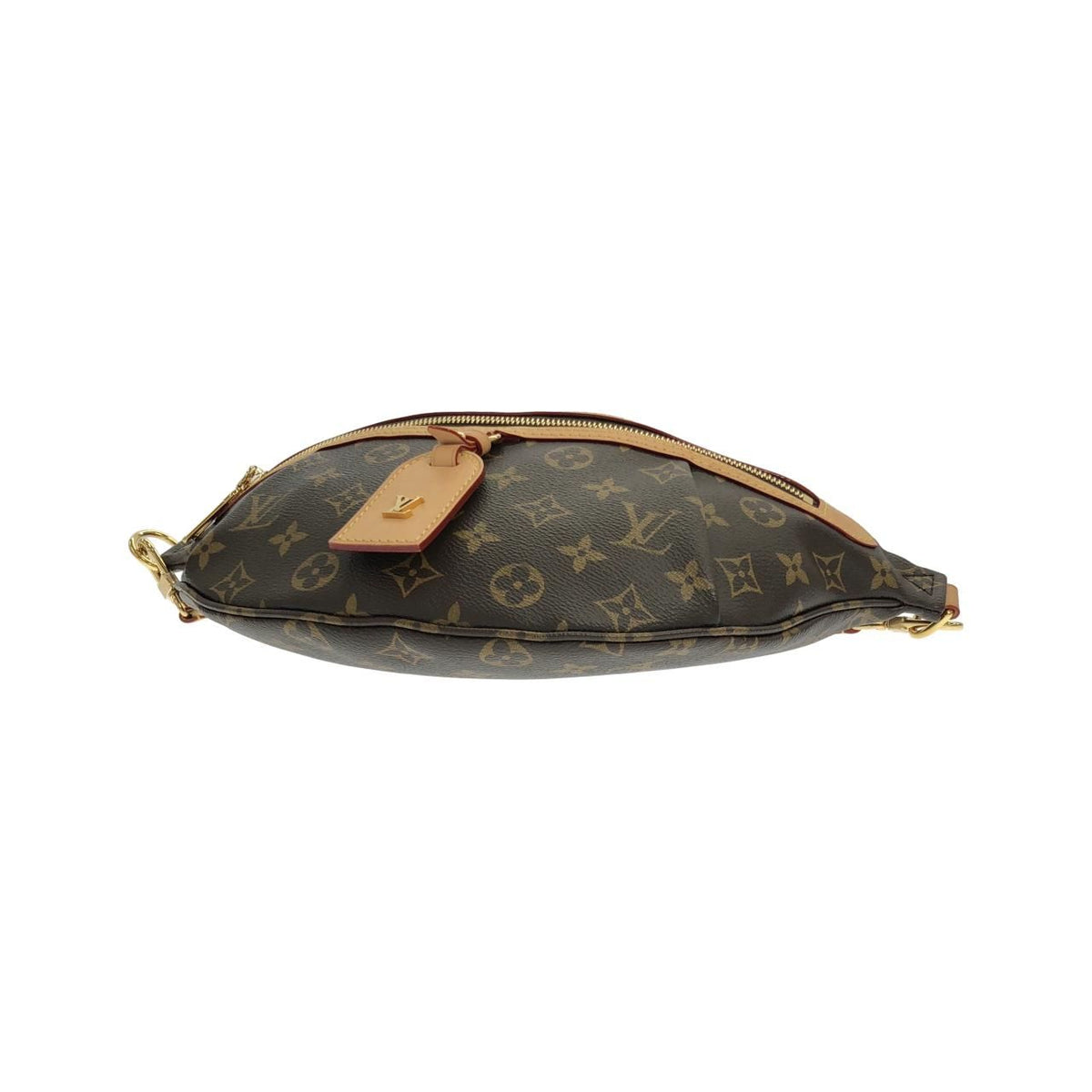 Louis Vuitton Monogram Shoulder Bag