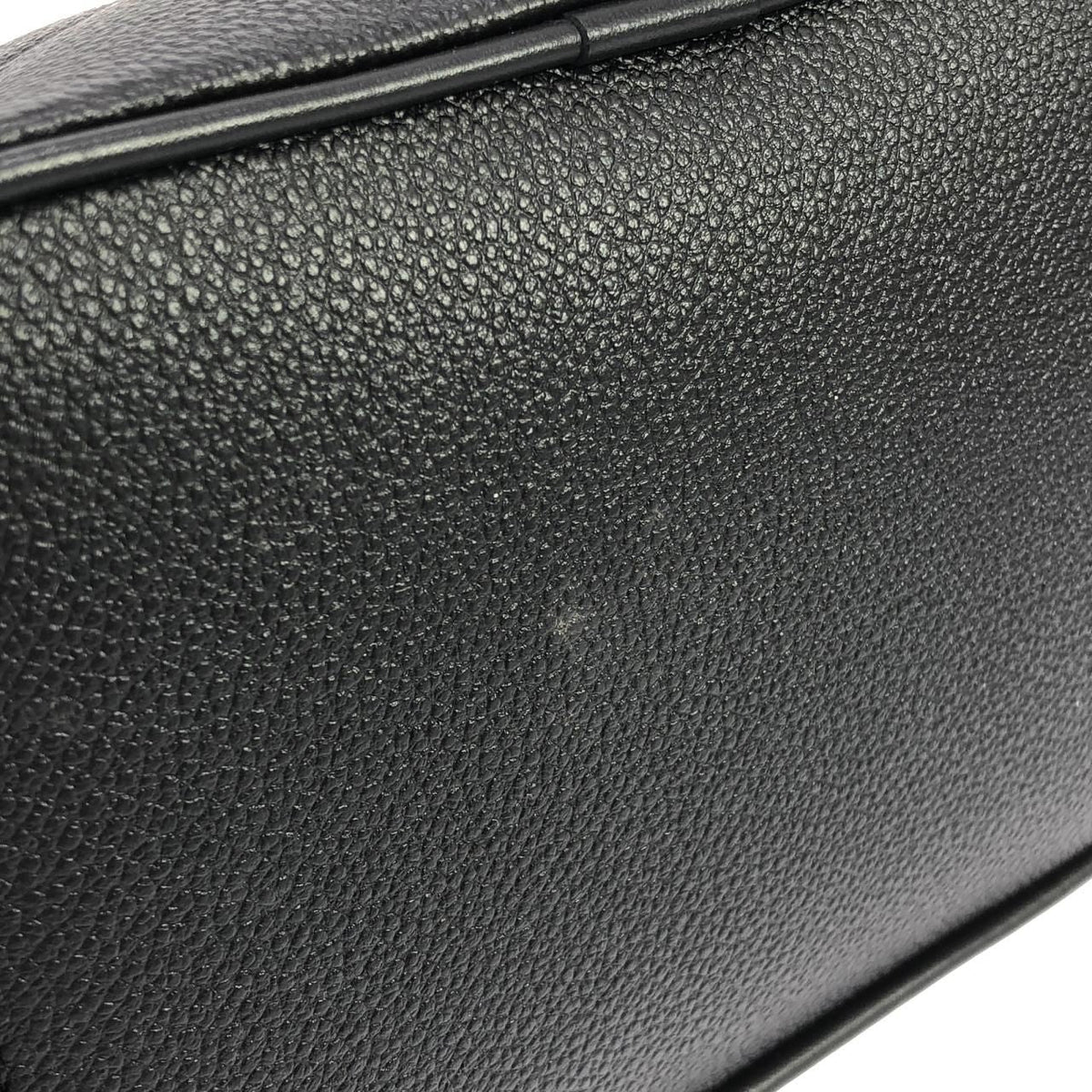 Louis Vuitton Monogram Empreinte Bag