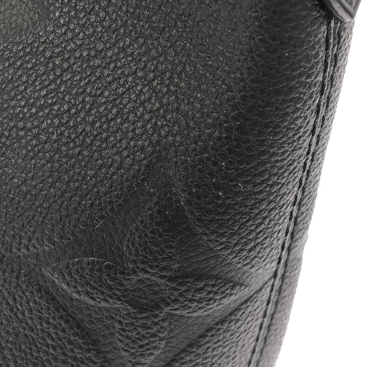 Louis Vuitton Monogram Empreinte Bag