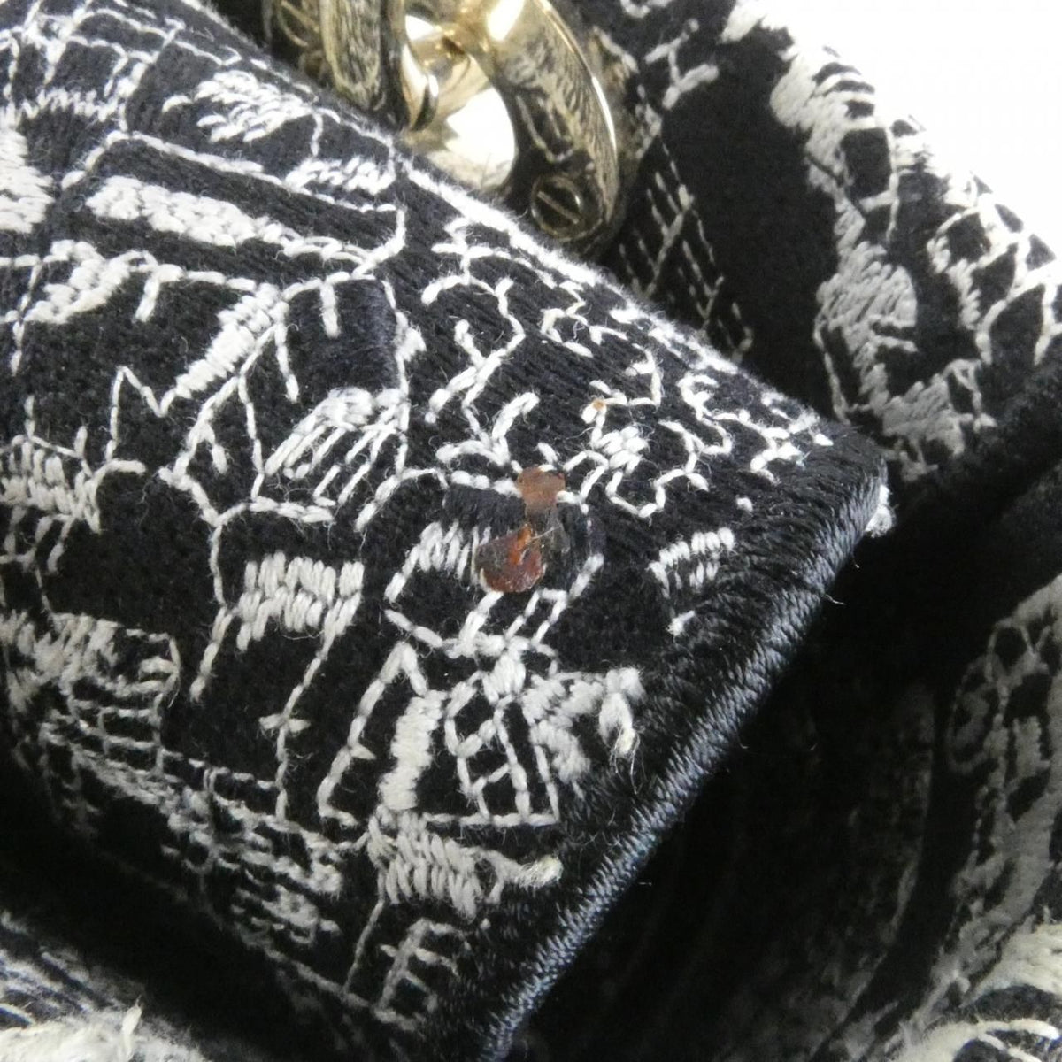 Christian Dior Plan De Paris Lady D-Lite Medium Canvas Handbag