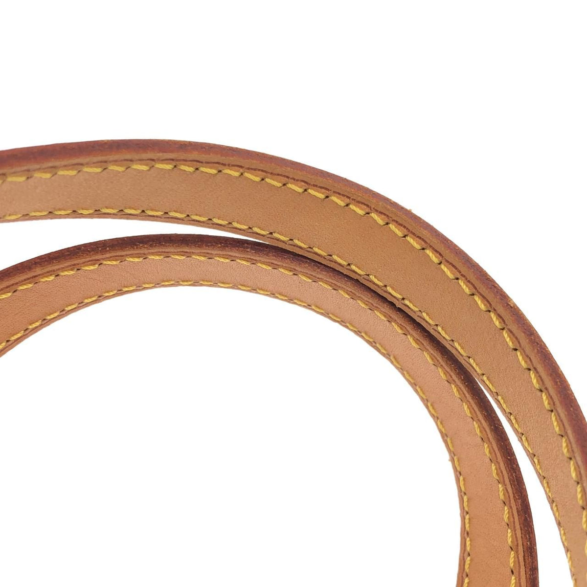 Louis Vuitton Monogram Tote Bag