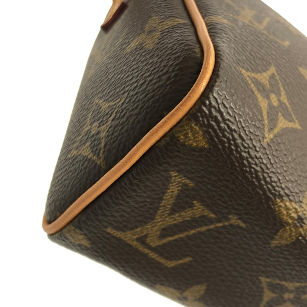 Louis Vuitton Monogram Bag