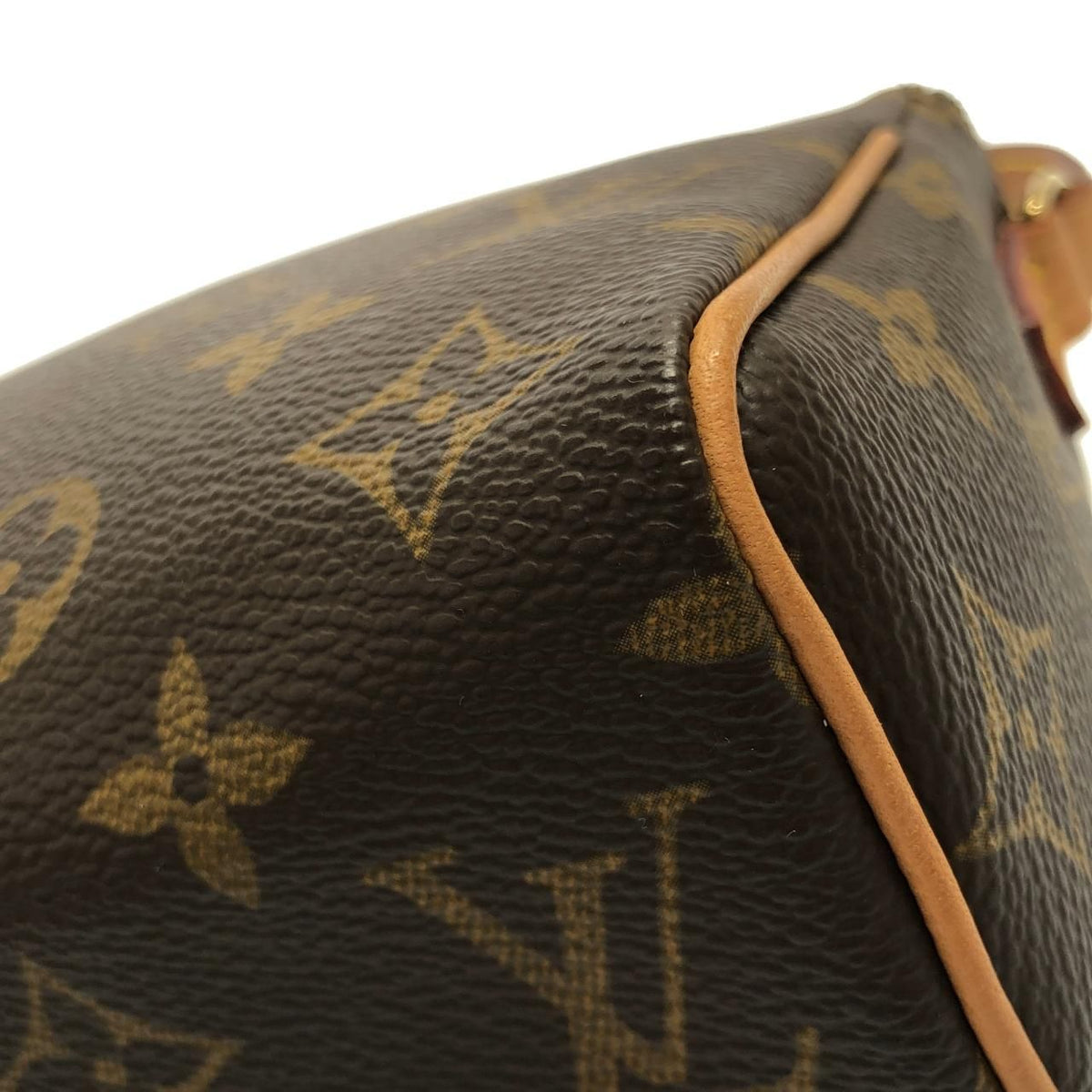 Louis Vuitton Monogram Bag