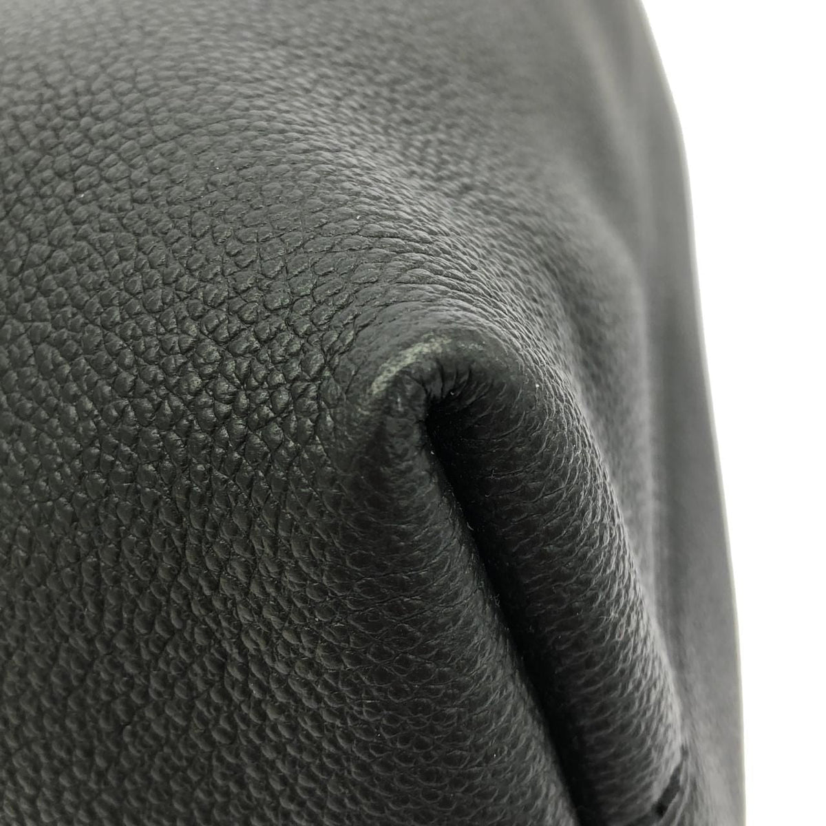Louis Vuitton Monogram Empreinte bag