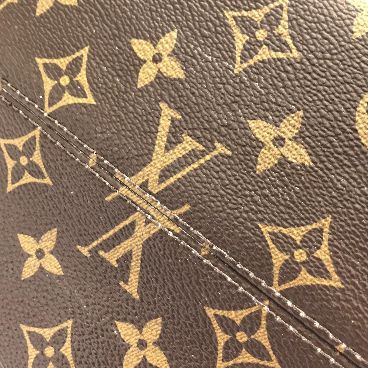 Louis Vuitton Monogram Tote Bag
