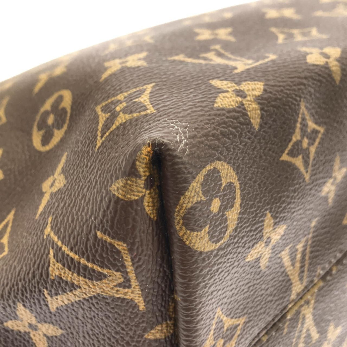 Louis Vuitton Monogram Tote Bag