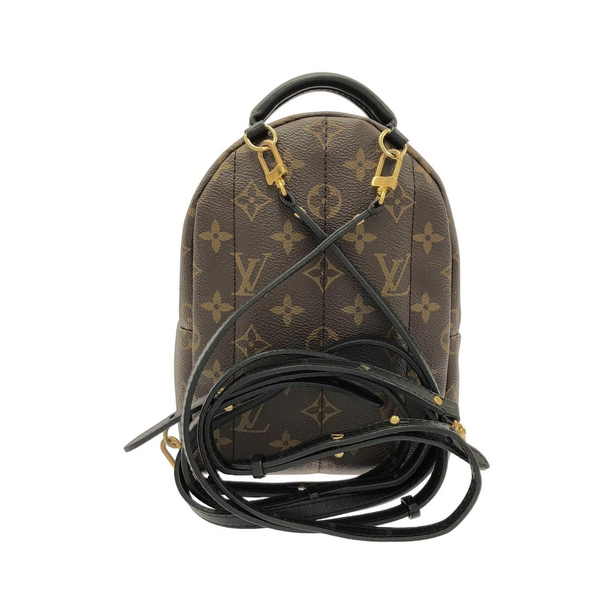 Louis Vuitton Palm Springs Monogram Backpack