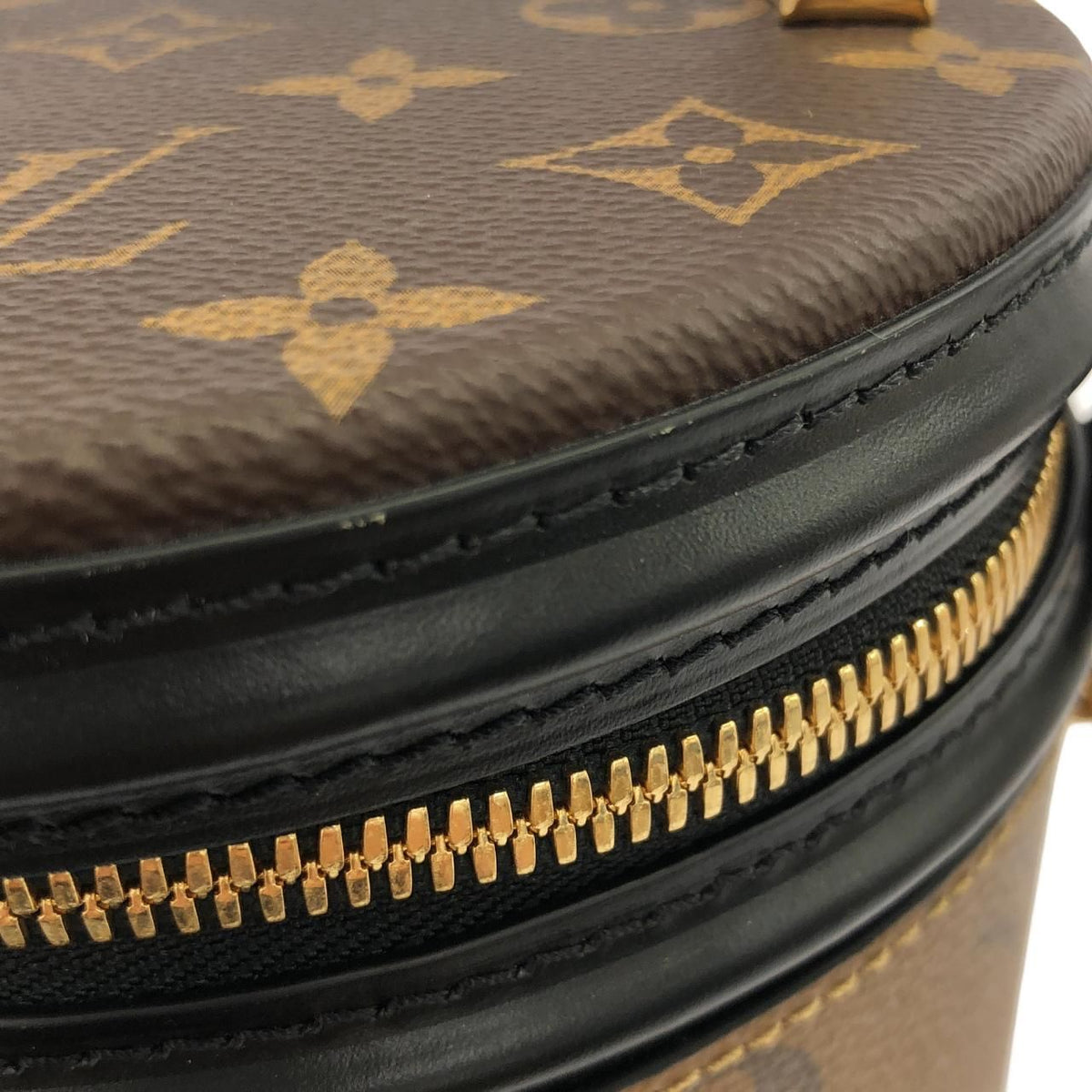 Louis Vuitton Cannes Monogram Reverse Shoulder Bag