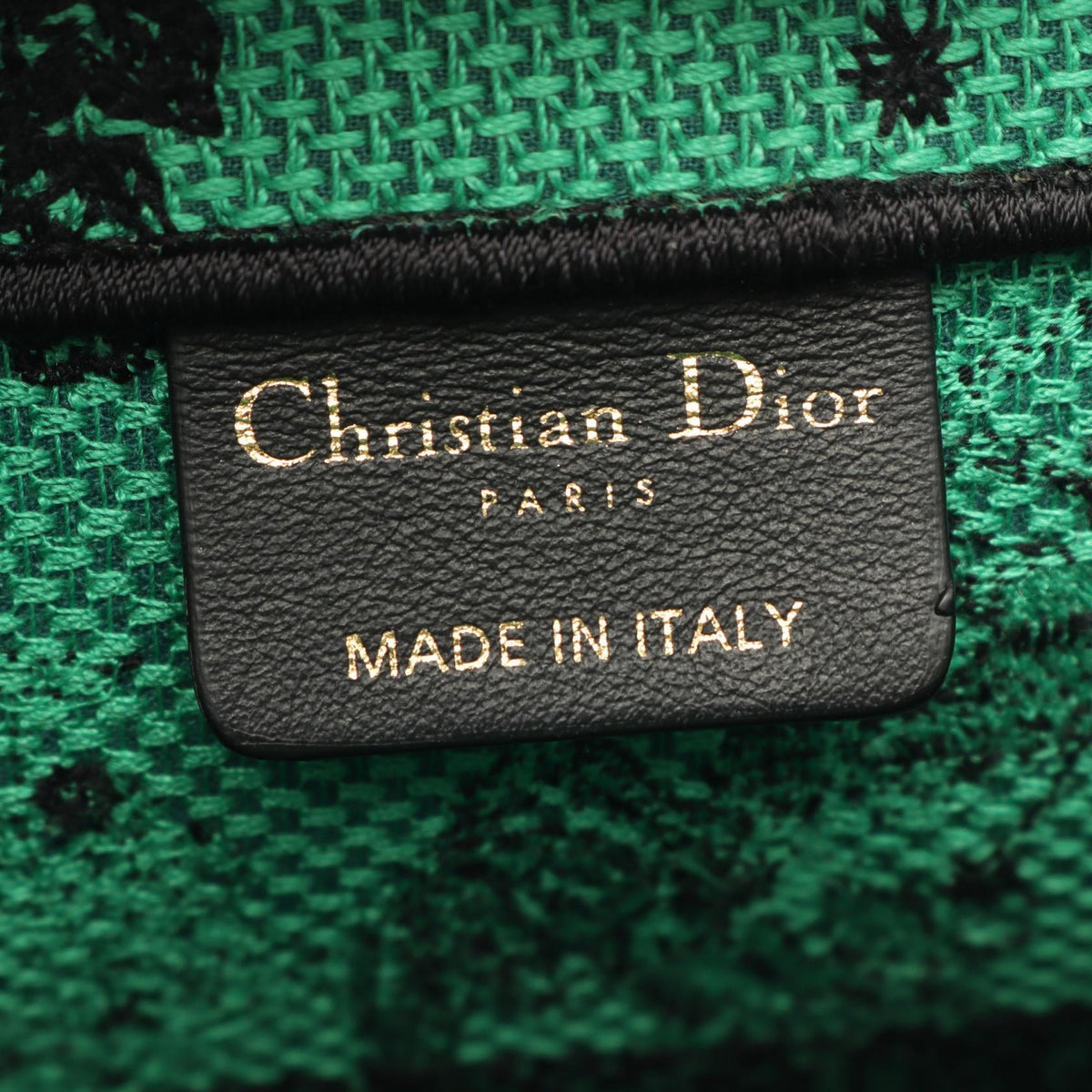 Dior BOOK TOTE Medium Tote Bag Green/Black canvas 2101220043223