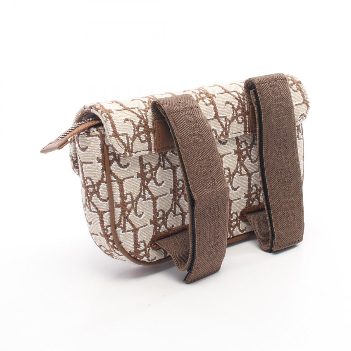 Dior DIOR   TRAVIS SCOTT CACTUS JACK SADDLE Pouch Beige/Brown canvas 2101219565422