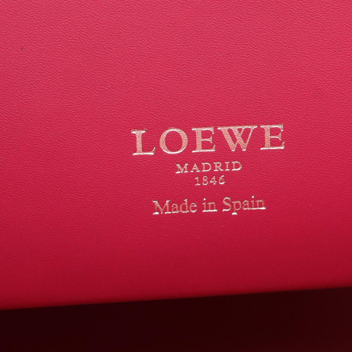 LOEWE Leo Anagram Tote Bag Pink leather 364.71AG60 2101219997100