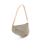 Christian Dior Trotter saddle pouch Handbag Green/Beige/Brown canvas leather ?????? ????? 2101220098162