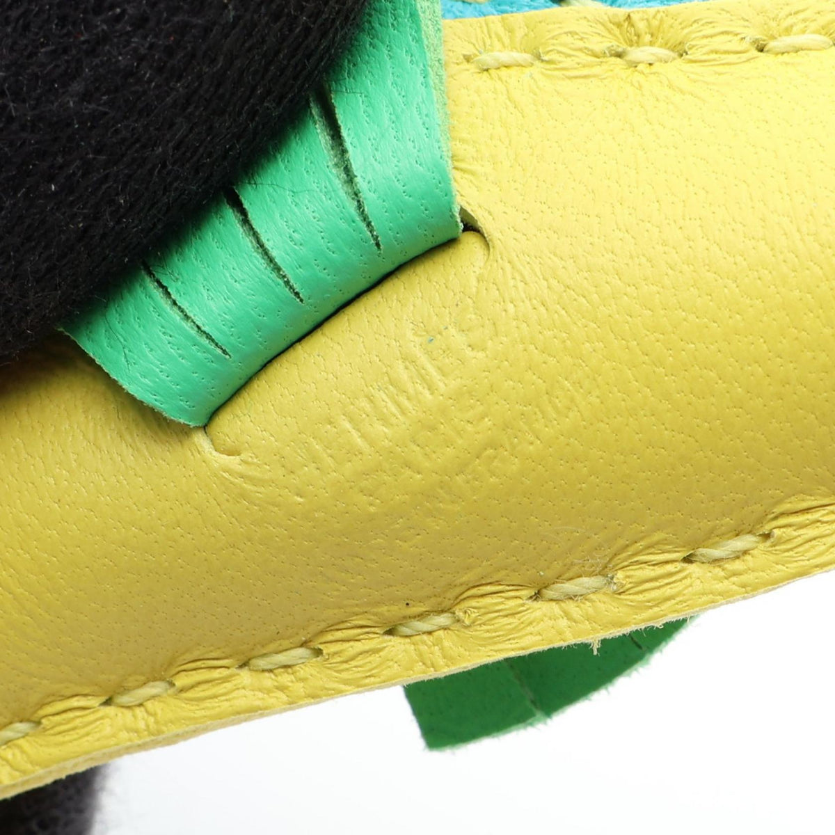 HERMES Ipo Seahorse Lime Lime Vert Comic Blue As charm Yellow/Blue/Green Agneau milo Other Agneau milo 2120900132880